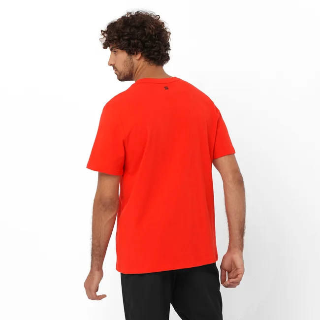 SALOMON GLOBE GRAPHIC  Kurzarmshirt Herren