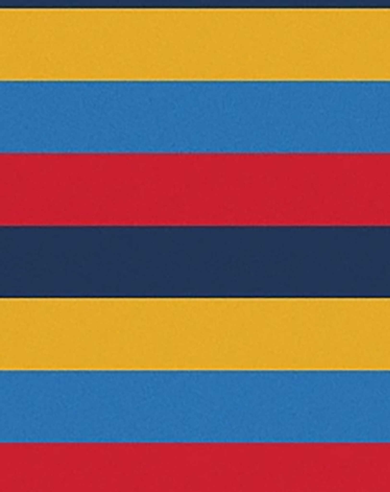 Langarmshirt STRIPES BLUE in bunt