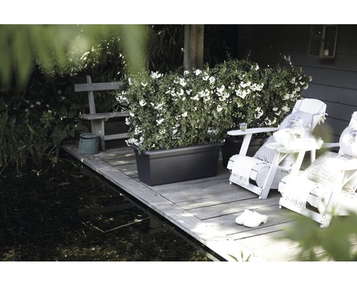 elho Green Basics XXL plantenbak, kunststof, 80x39x34 cm, antraciet