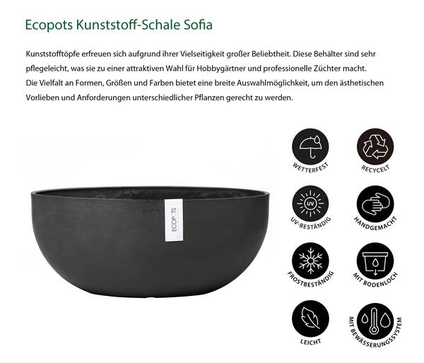 Ecopots Kunststoff-Schale Sofia mit