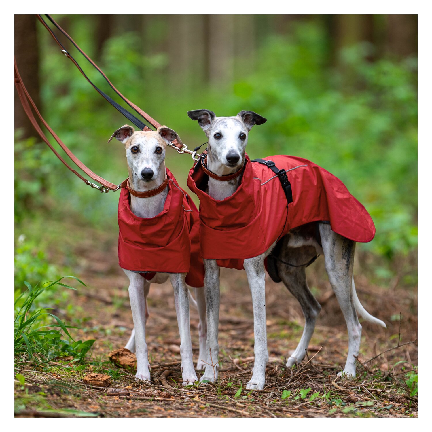 pawberry Hunde-Regenmantel Pleven  - ruby red