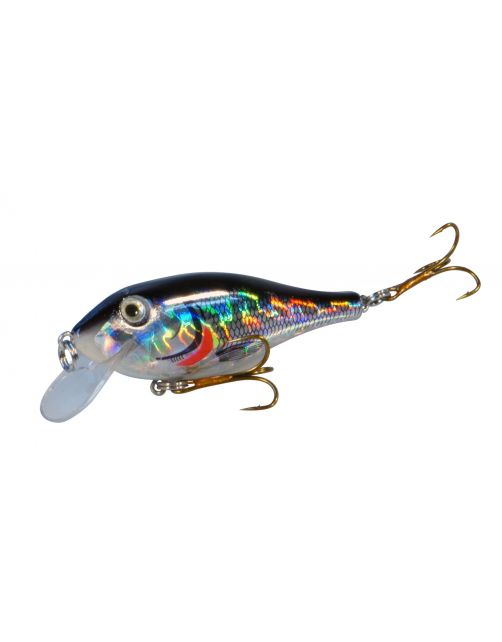 Albatros Plug Fat Belly 8 cm - Pluggen