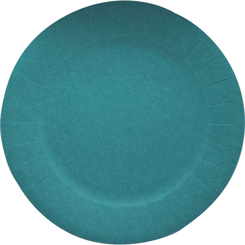 Lot de 10 assiettes carton bleu canard D23cm