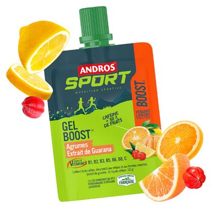 Gel énergétique Andros Sport Boost Agrumes/Extrait de Guarana - 40g