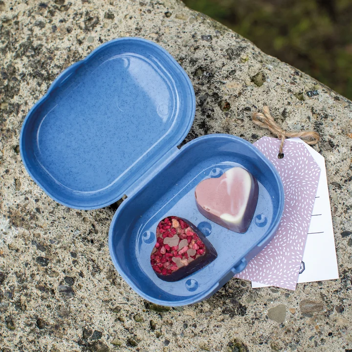 Koziol - Pascal S Lunchbox, nature flower blue
