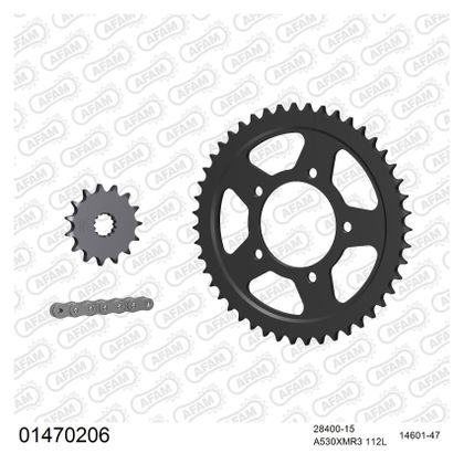 Kit chaine AFAM 530 Type Acier