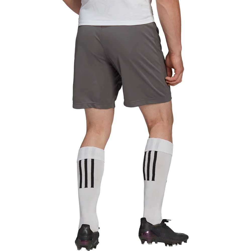 calções adidas Entrada 22