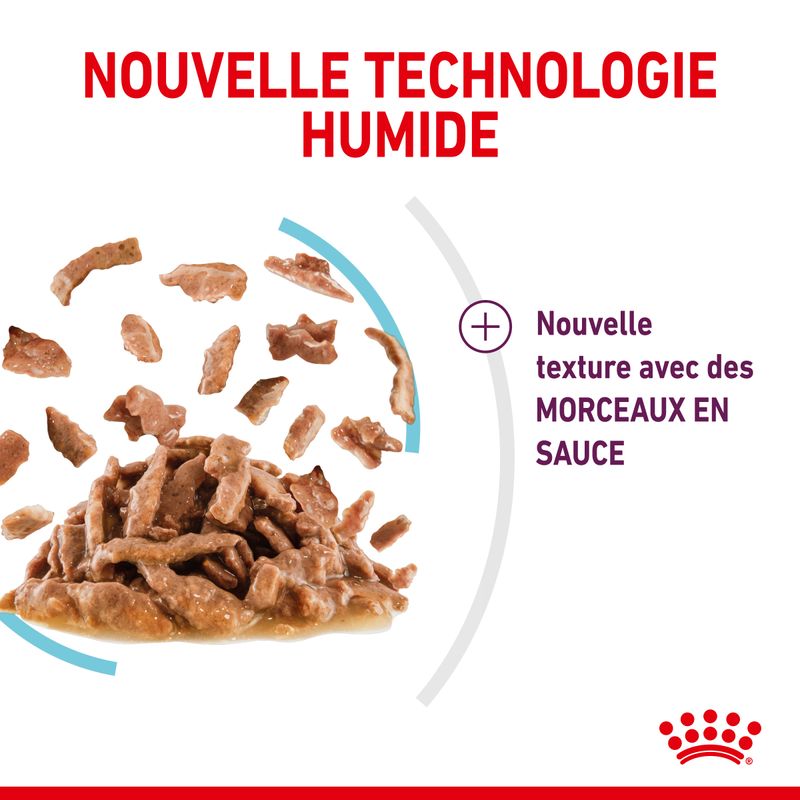 Royal Canin Sensory Feel en sauce