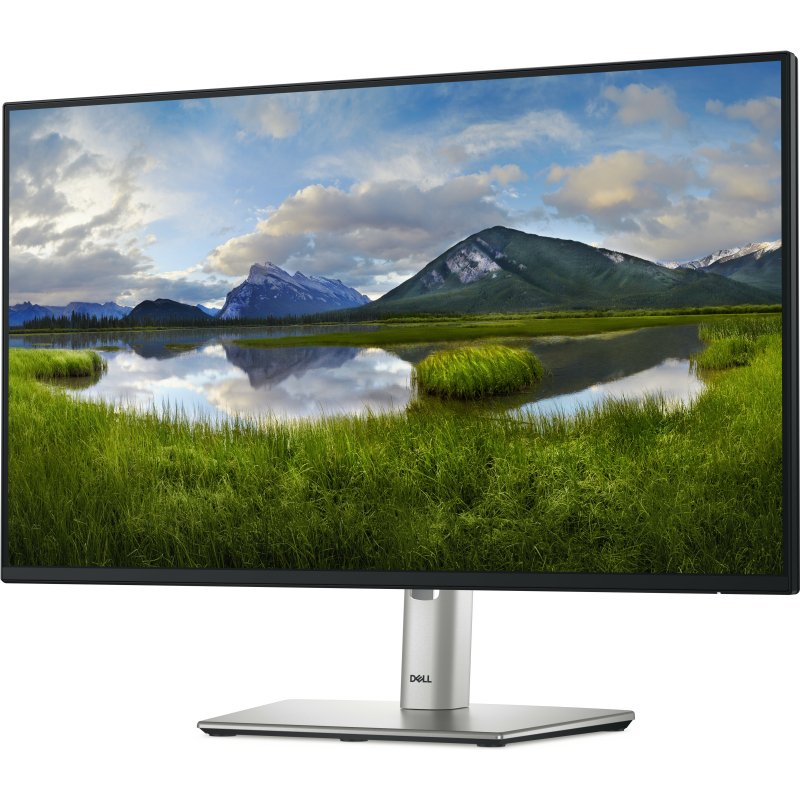 DELL Pro Plus P2425HE écran plat de PC 60,5 cm (23.8