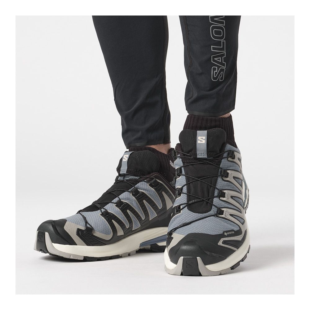 Salomon XA PRO 3D V9 GTX - Chaussures trail Homme flint stone/black/ghost gray