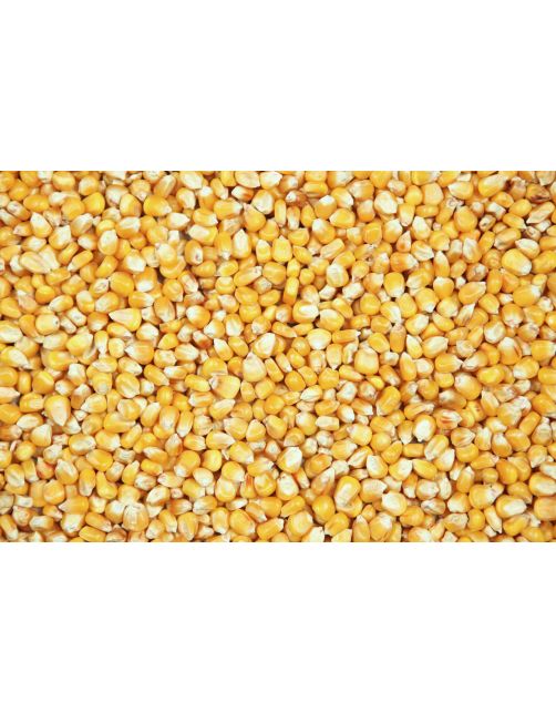 Versele-Laga Mais Franse Crips - Pluimveevoer - 25 kg