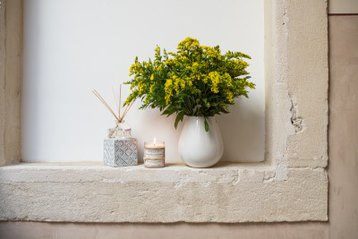 Durance Reed Diffuser Mimosa In Bloom 100ml