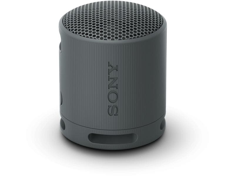 Sony Bluetooth Speaker SRS-XB100 Schwarz Kompakter, kabelloser Bluetooth-Lautsprecher