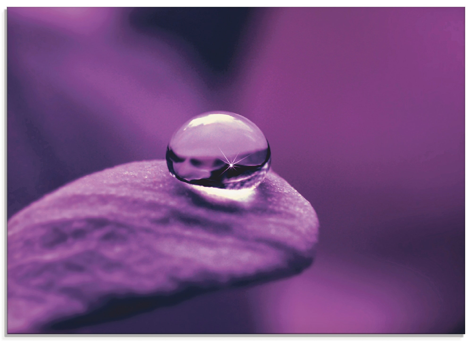 Artland Glasbild »Amethyst« Blumen 1 Stk. tlg. in verschiedenen Grössen