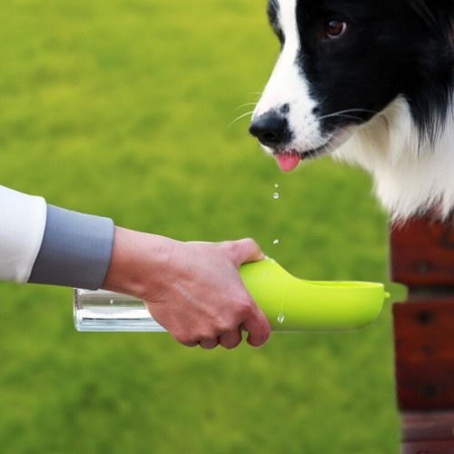 Petkit bebedouro portátil para cães