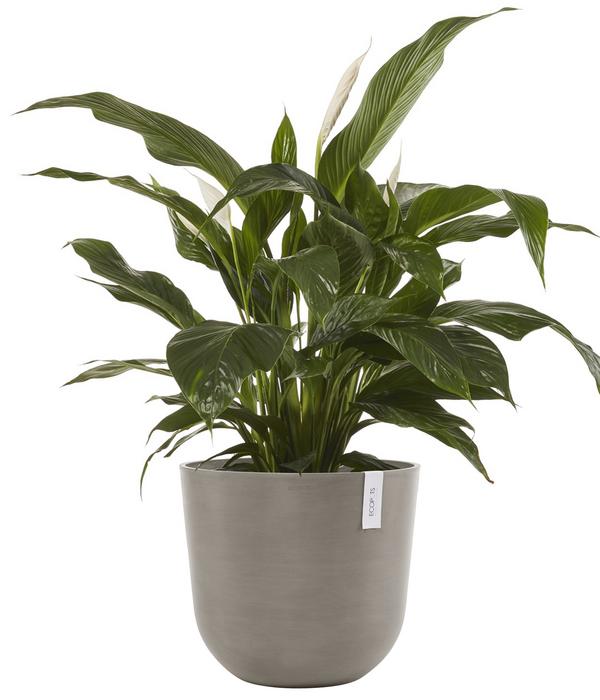Ecopots Kunststoff-Topf Oslo mit Wassersystem,