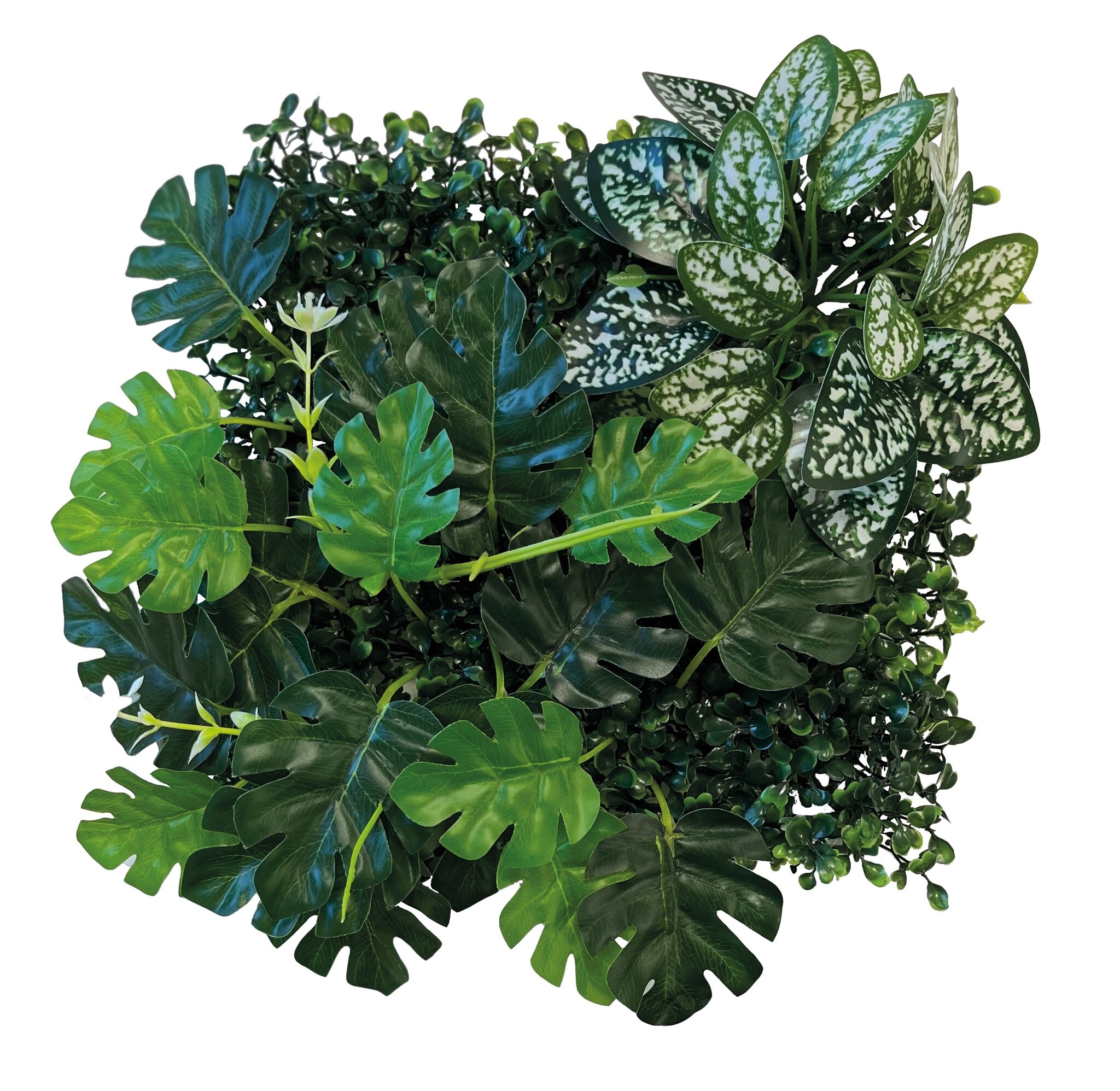 Repto Terrarium Achterwand Planten Mat 3 25x25cm