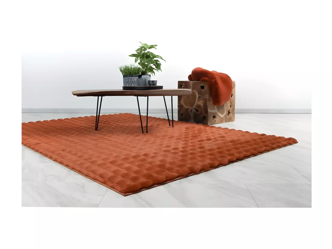 Tapis 170x120cm, design H008Y coloris rouge terracotta - Confort et élégance pour votre intérieur