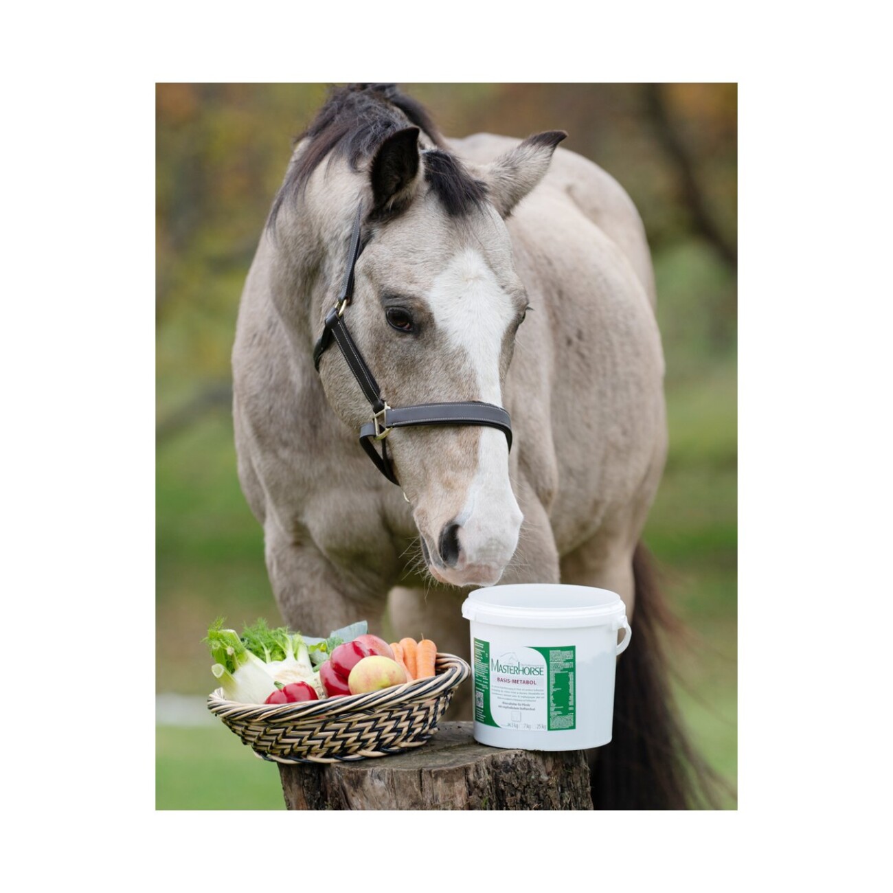MASTERHORSE Mineralfutter Basis-Metabol 3 kg