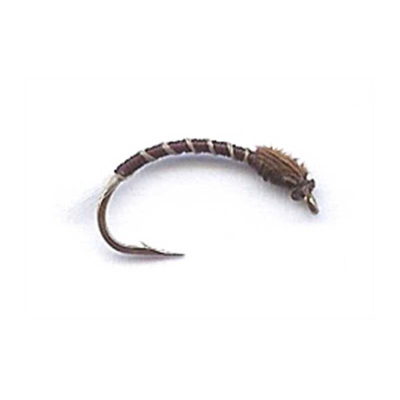 Mouche Tof Chiros Chironome - Brun