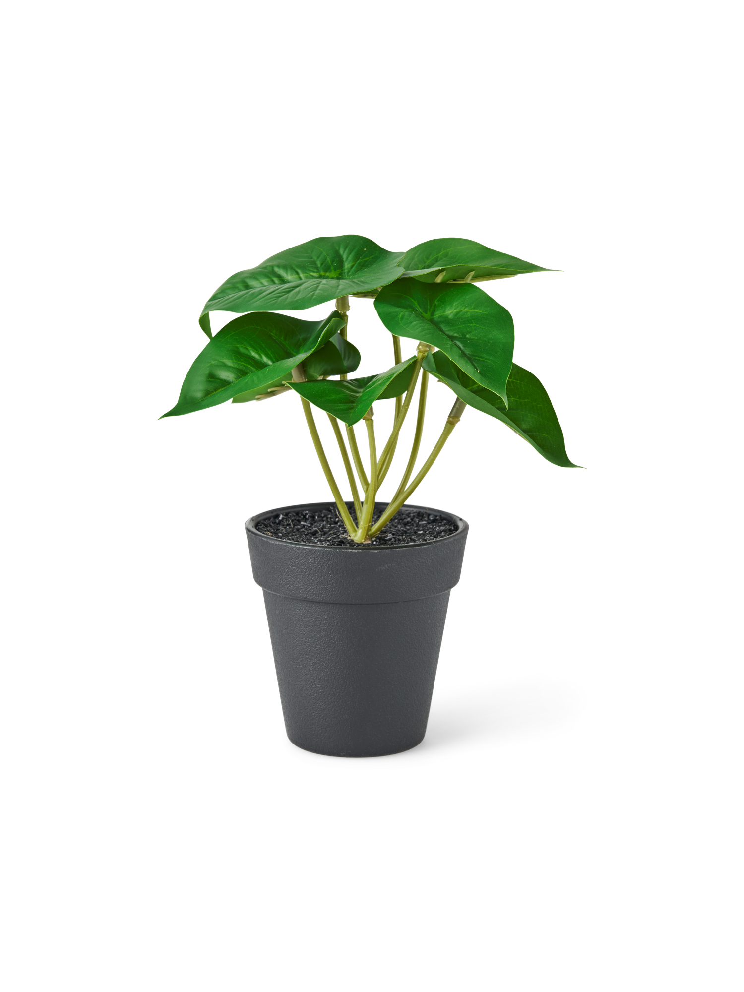 Kunstig plante i potte | Ø8 x 18 cm. | Dark Green
