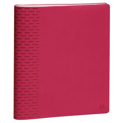 Agenda Winner - 1 semaine sur 2 pages - 21 x 27 cm - disponible dans différentes couleurs - Exacompta