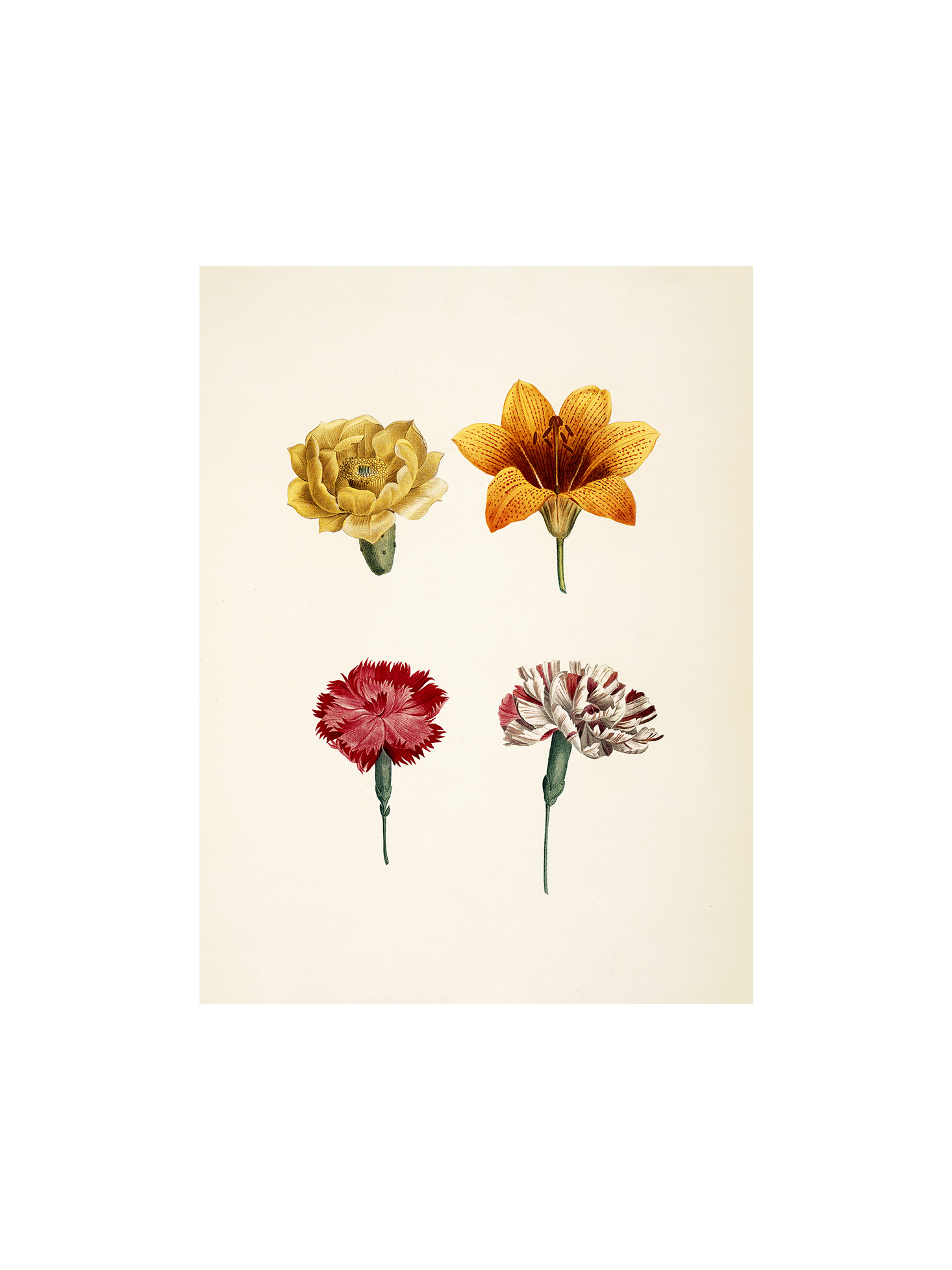 Plakat A3 | Papir. 29,7 x 42 cm.  | Multi | The Dybdahl Co.
