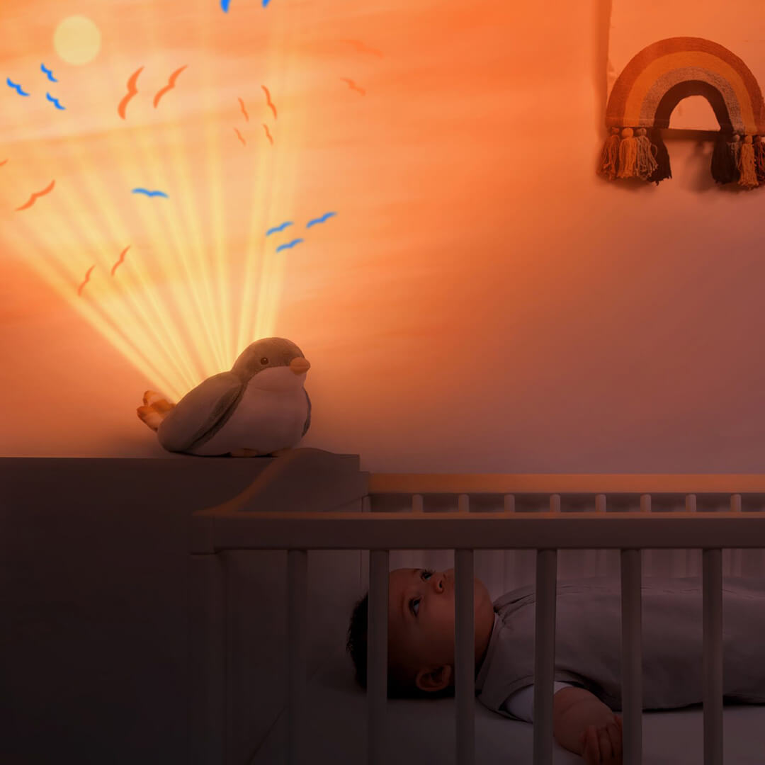 Zazu muziekdoos en lichtprojector - shally