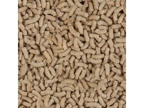 Sera Pond Color Sticks 10 l, granulat - fargeforbedrende mat til damfisk
