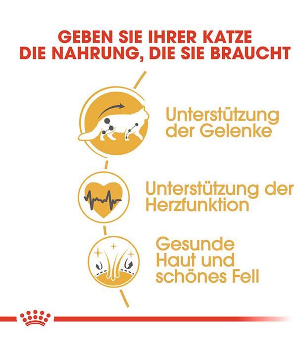 ROYAL CANIN® Trockenfutter für Katzen Maine