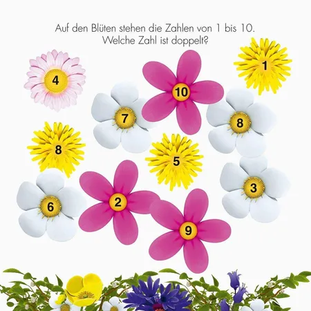 Ravensburger Die Biene Maja: Mein Rätselblock