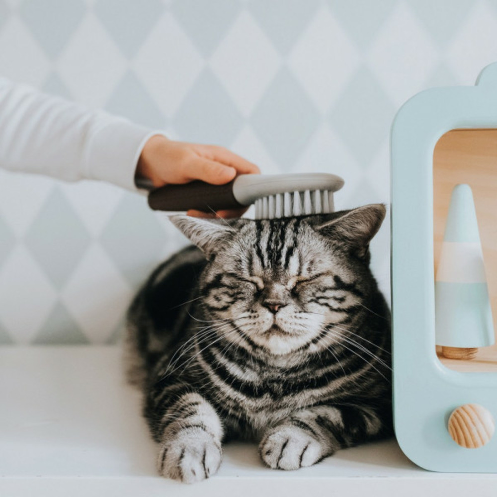 Brosse pour enlever les poils extra soft