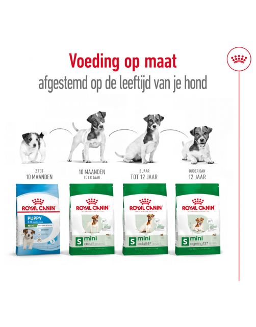 Royal Canin Mini Adult - Hondenvoer