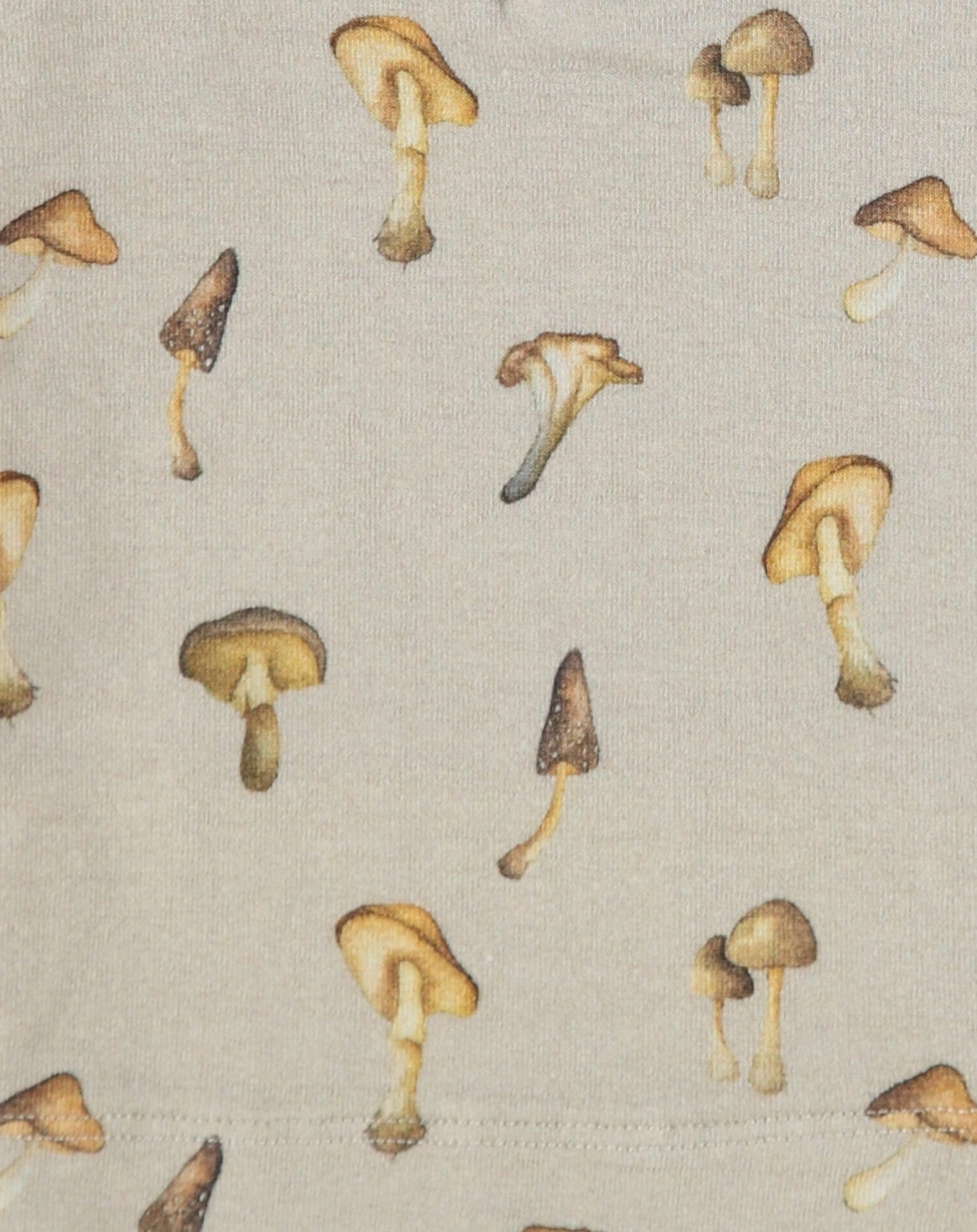 Langarmshirt NBMGEO in peyote