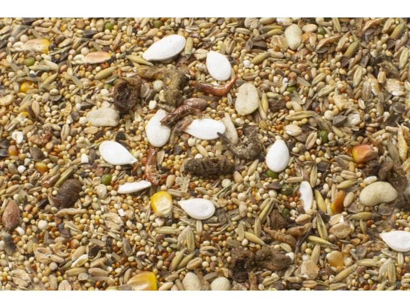 JR Farm Hauptfutter Basic Zwerghamster-Schmaus 600 g Alleinfuttermittel für Zwerghamster