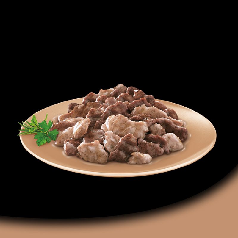 Mégapack Cesar 14 x 150 g pour chien