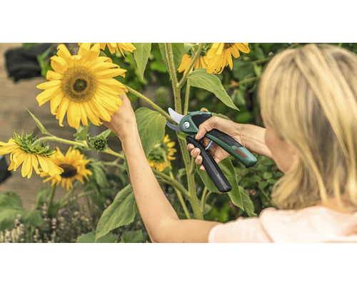 BOSCH EasyPrune accu-tuinschaar inclusief oplaadkabel