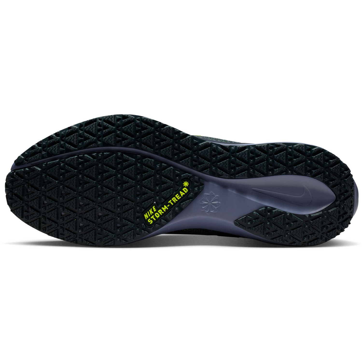 Nike Pegasus 41 GTX Heren
