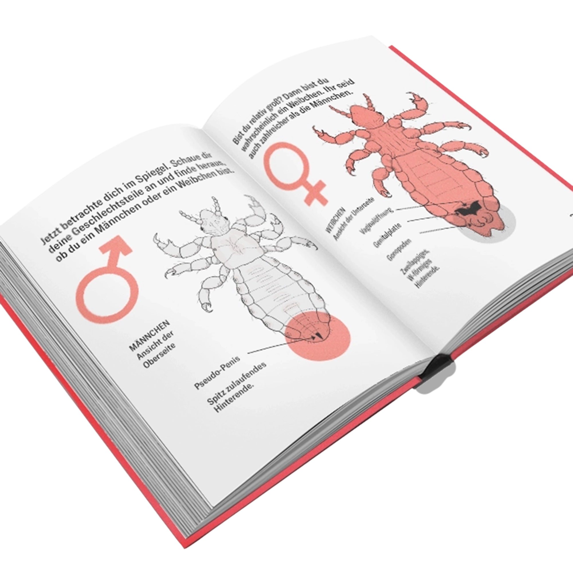 Buch Läuse - Handbuch zum Überleben auf Menschen