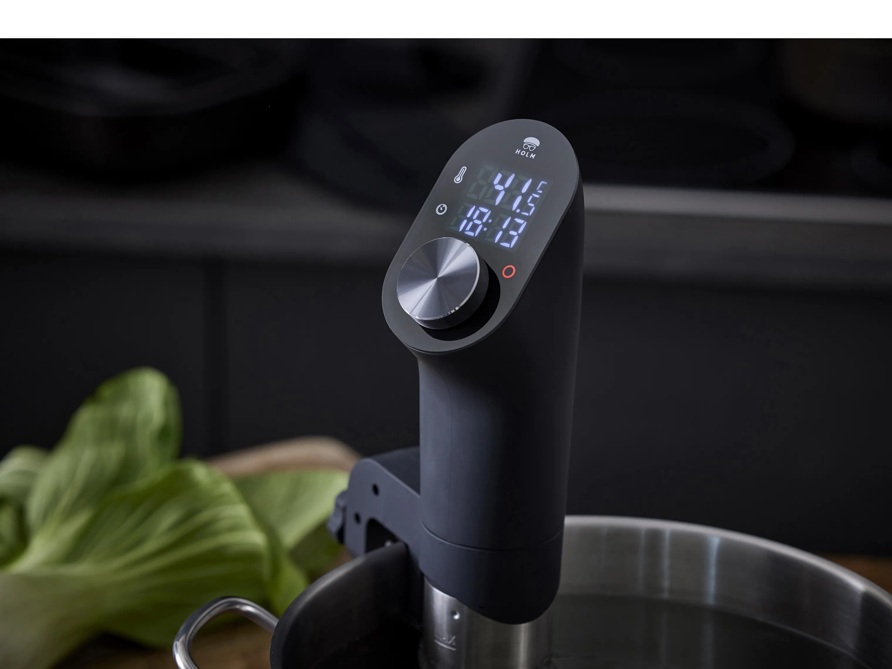 Holm Sous Vide Stav