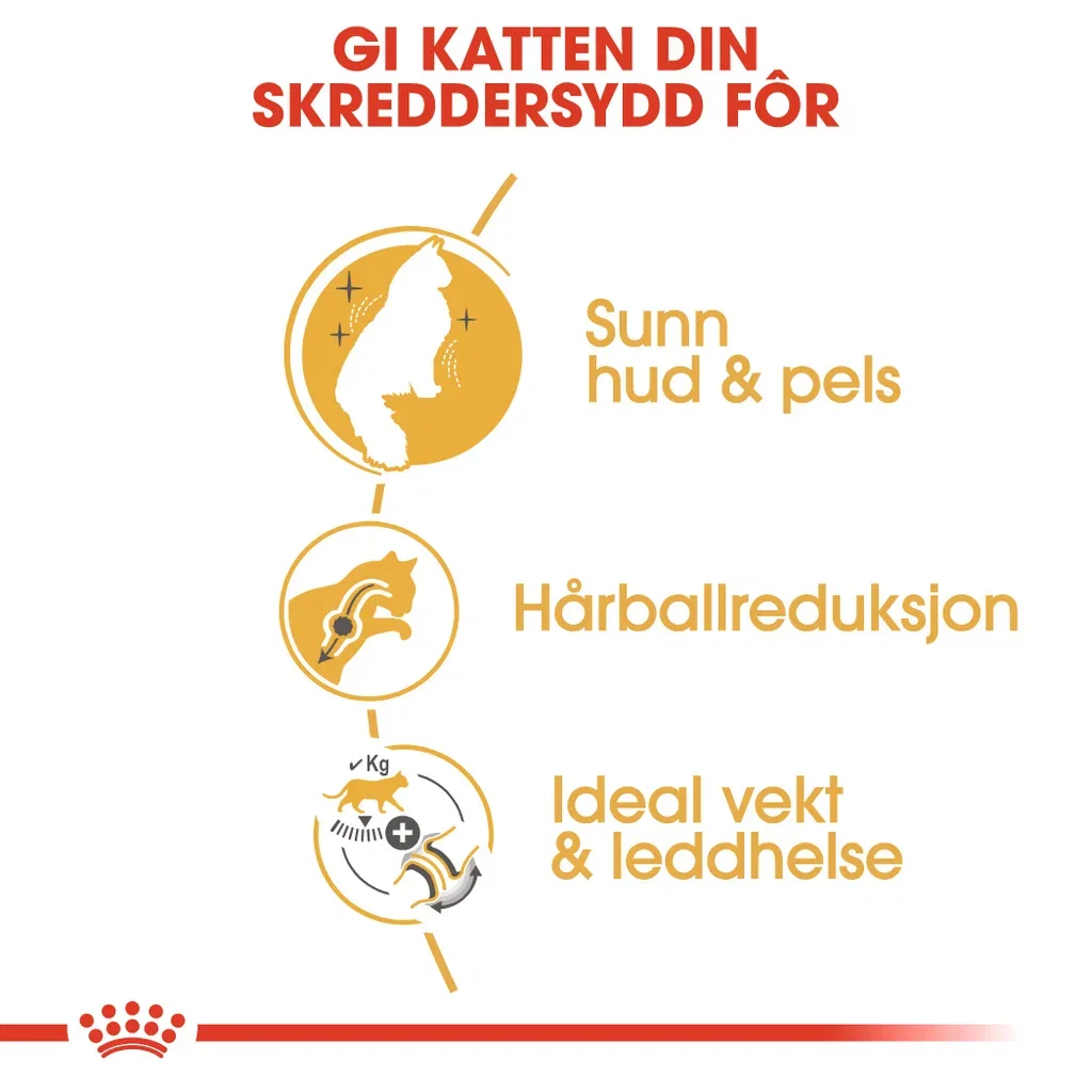 Royal Canin Royal Canin Norwegian forest Adult 2 kg