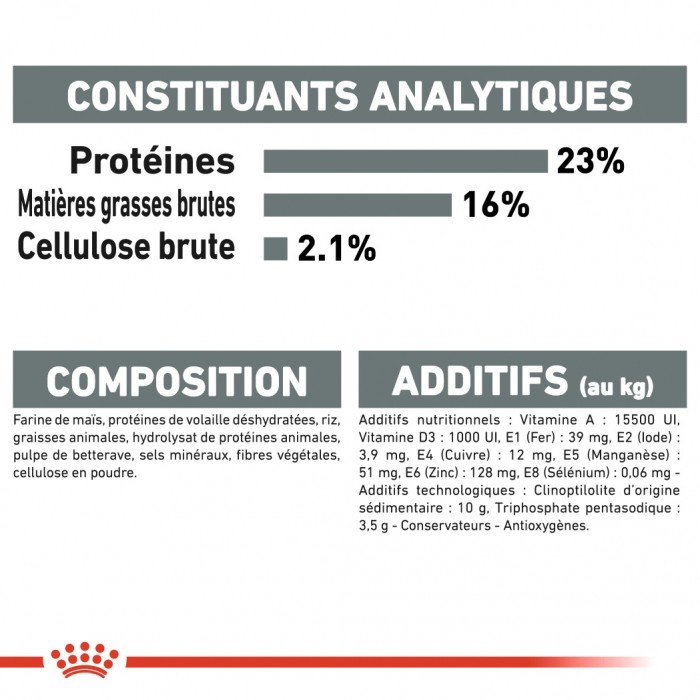 Royal Canin Mini Dental Care - Croquettes pour chien