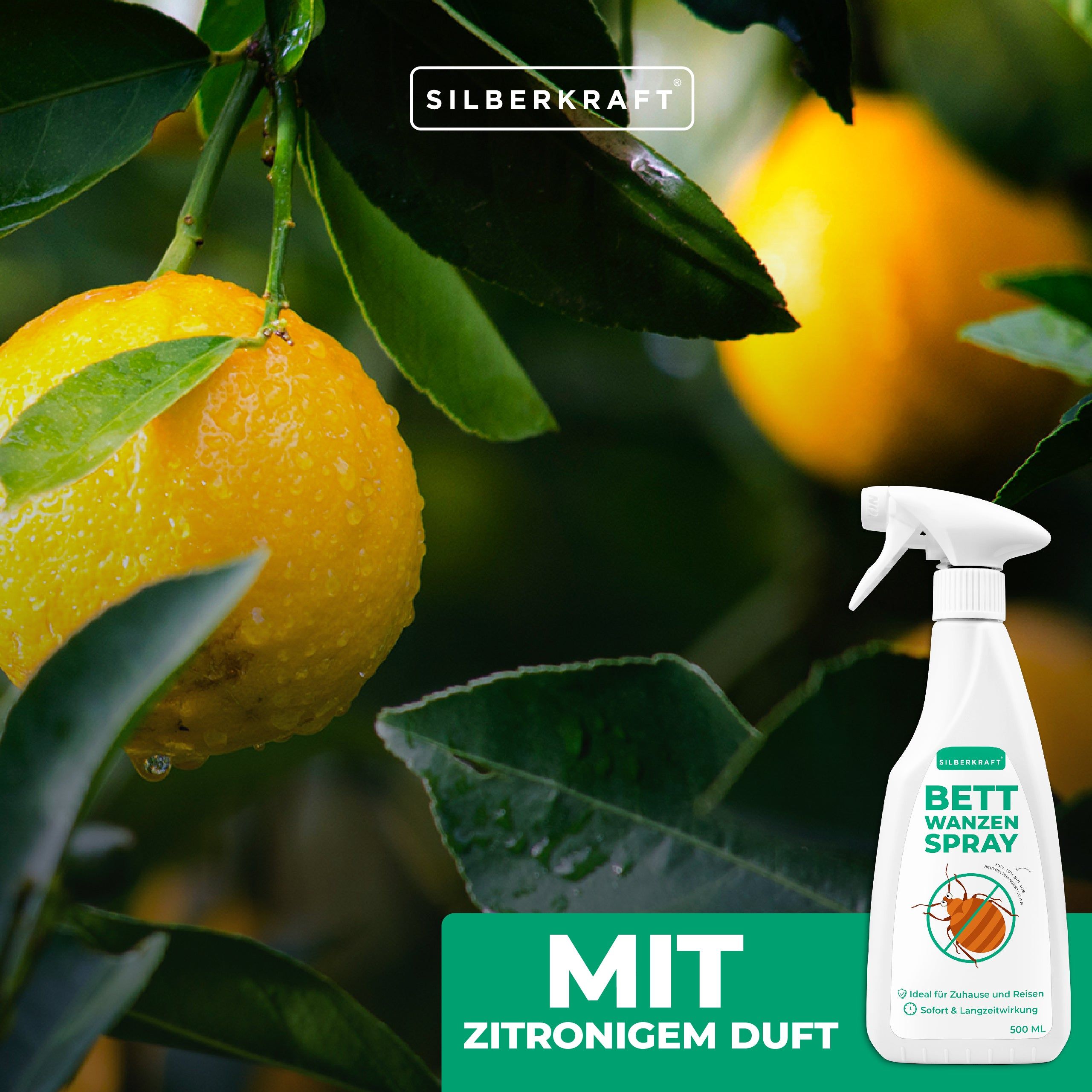 SILBERKRAFT Anti Bettwanzen Spray