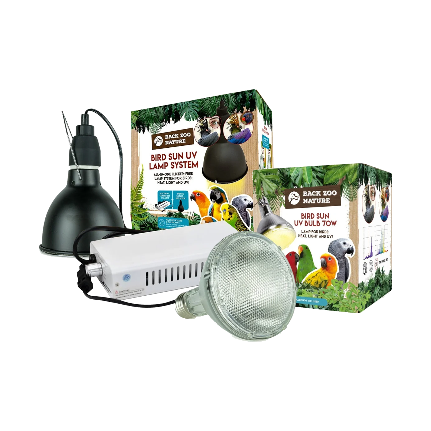 Back Zoo Nature Bird Sun UV-Lamp