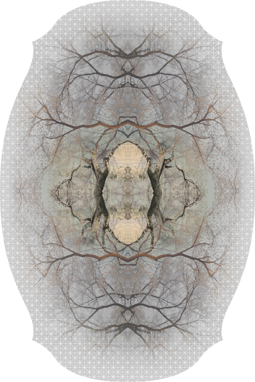 Moooi Carpets Diamond Tree vloerkleed 267x400 polyamide grijs