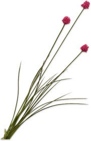 Silk-Ka kunstbloem Allium roze 95 cm