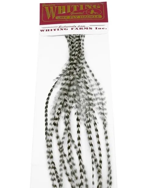Whiting 100'S Saddle
