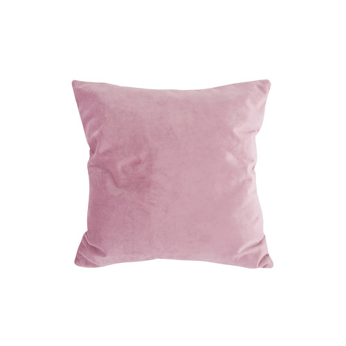 Present Time - TENDER - Violet
