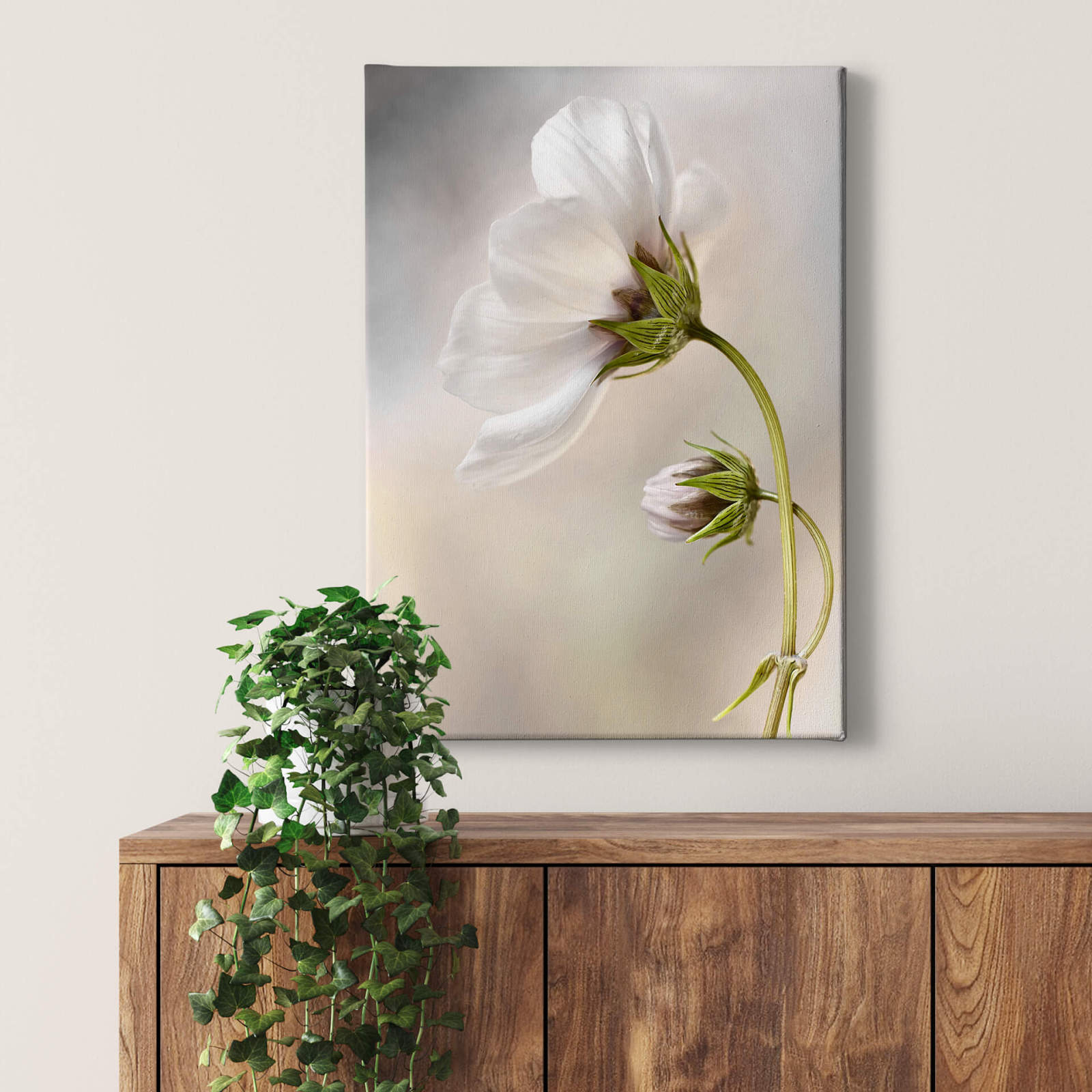 Leinwandbild KOSMOS - weiß - 50x70 cm