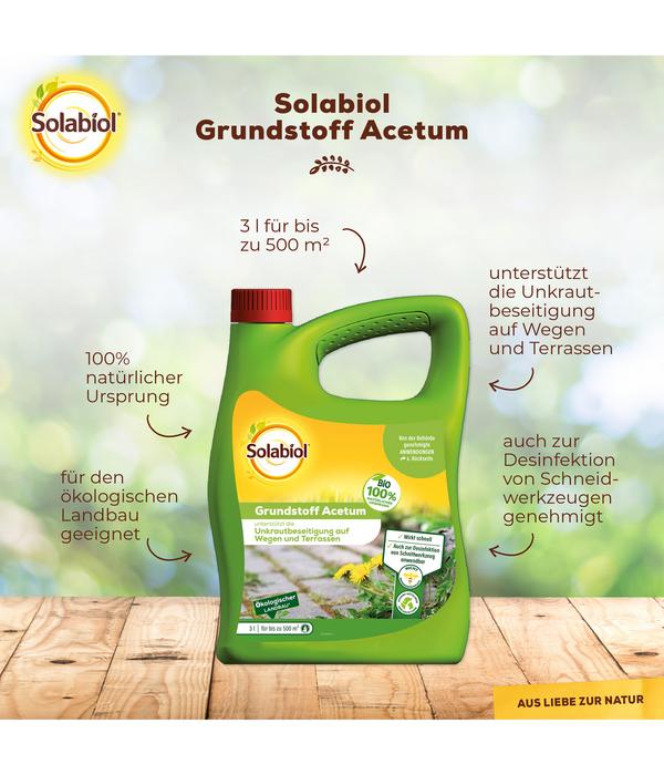 Solabiol® Grundstoff Acetum, flüssig, 3 l